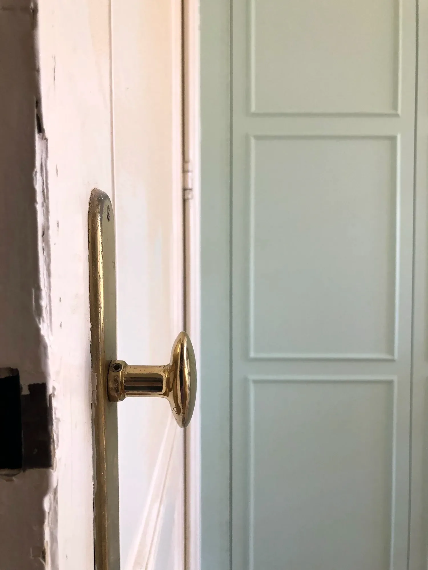 La Chasse — porte vert d’eau et poignée dorée